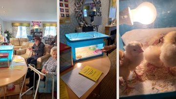 The Living Egg Project at Redmill care home